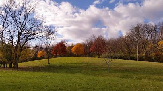 Thomas Park