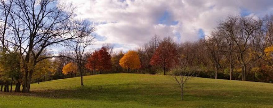 Thomas Park