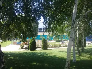 Detskiy Park