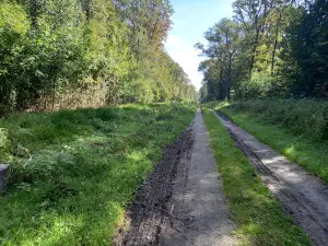 Arboretum