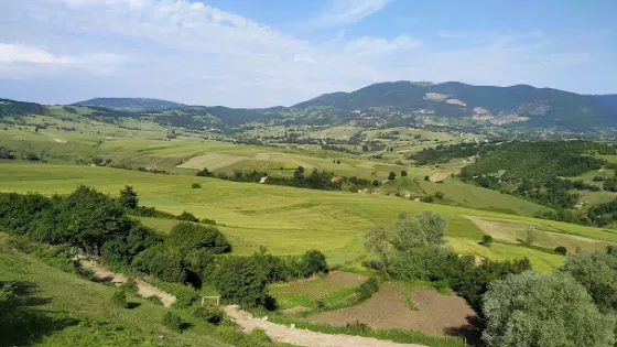 SAMSUN ENDURO HATIRA ORMANI