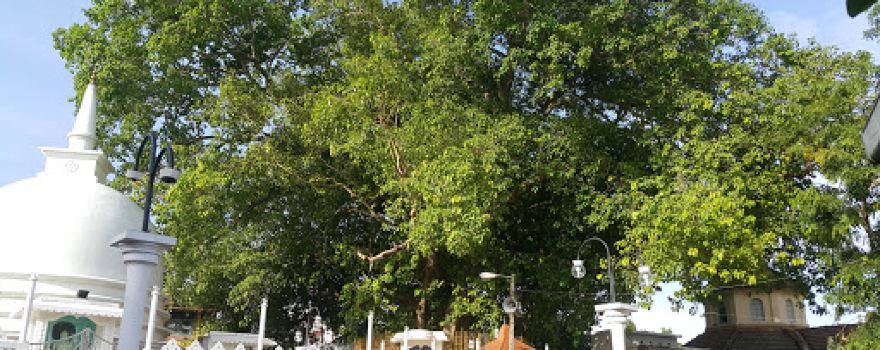 Pratibimbārāma Temple