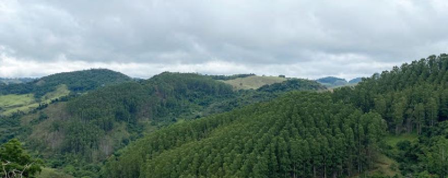 Trilho do Pioneiro raiz- caminho do Céu