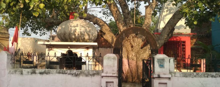 kali Mandir Bhalaswa Isapur