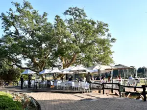 Kruger National Park Accommodation/Safaris/Luxury Lodges