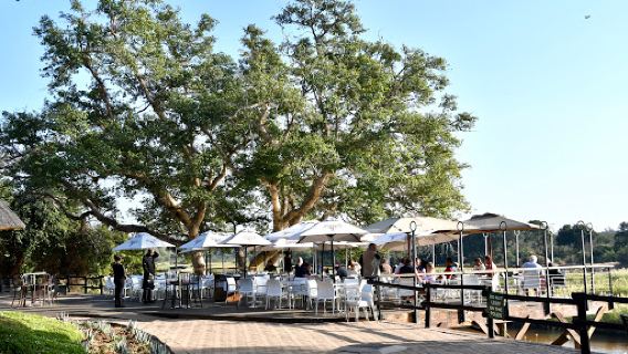 Kruger National Park Accommodation/Safaris/Luxury Lodges