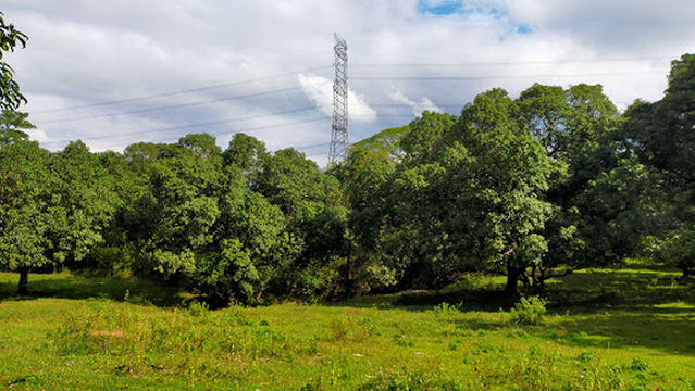 LICAO-LICAO (END POINT)