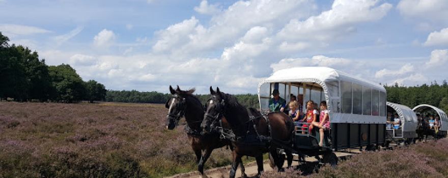 Huifkar De Lindeboom