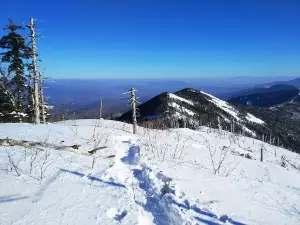 Gribanovka