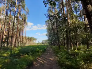 Turawskie Lake