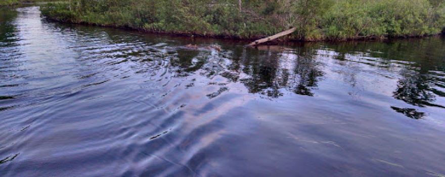 Moen Lake Campground & RV Park