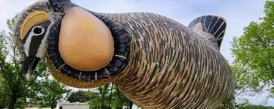Prairie Chicken Statue