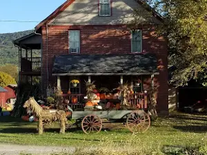 Carpenters Pumpkin Farm L.L.C.