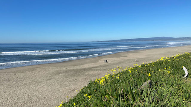Manresa Uplands State Beach & Campground