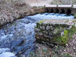 Presa Arroyo Frío.