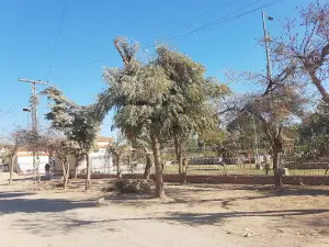 Public Park