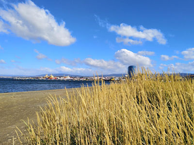 Costanera