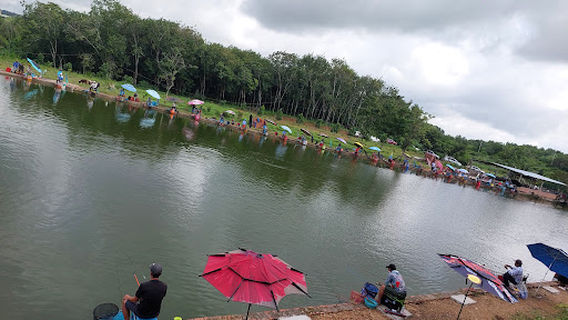 Hồ Câu Giải Trí Thành Công