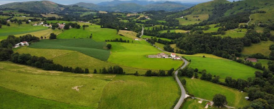 Camping Farm Diriart