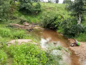 Forest Department