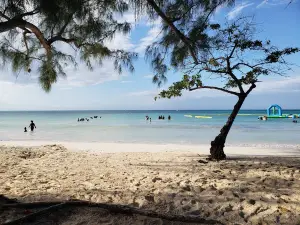 876 Beach Club