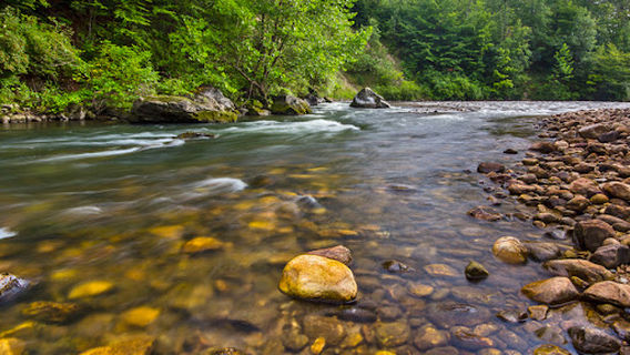 Camping On The Battenkill