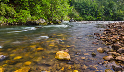 Camping On The Battenkill