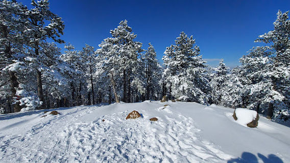 Black Summit 1096 m, Maljen Mountain