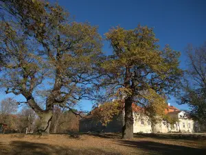 Želiezovský park