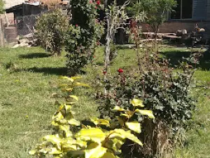 Asoc Bomberos Lamarque