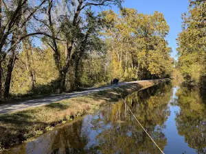 Hugh Moore Park