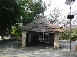 Jangli Baba Mandir