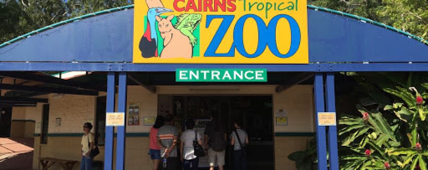 Cairns Tropical Zoo