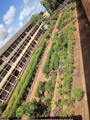 Love Garden