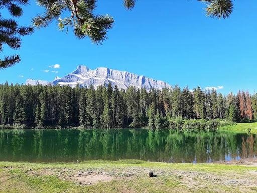 Abraham Lake View Point