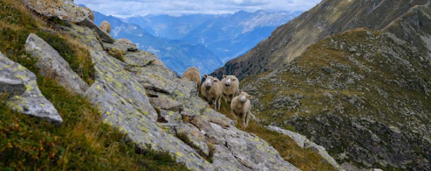 Piz de Molinera