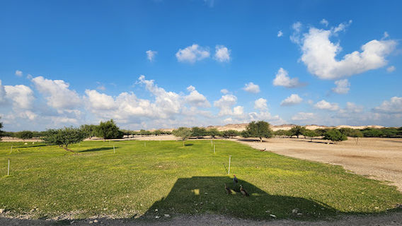 Sir Bani Yas Wildlife Park