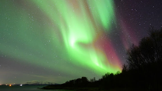Senja