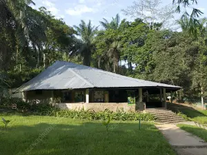 Sanctuaire des Bonobos