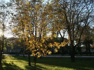 Freedom Square