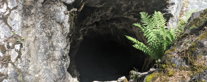 Garpa Gruva