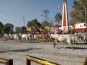Rani Durgawati Samadhi