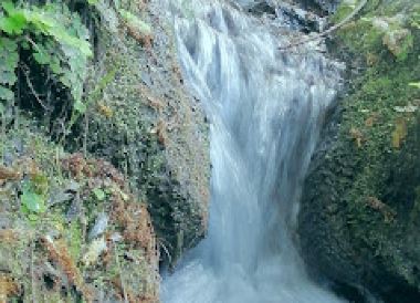 Kananga