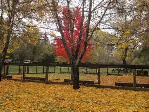 Garden Valley Park
