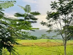 Chirang Pahar View Point