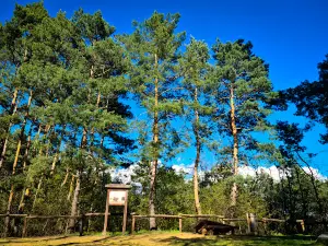 Triple Mountain lookout
