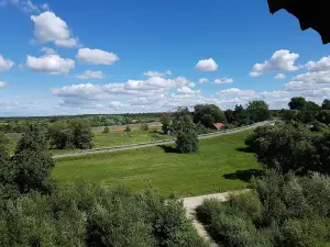 Jõesuu vaatetorn