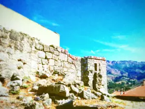 Castle of Eljas