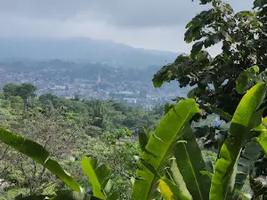 Jardín Botánico Xoxoctic