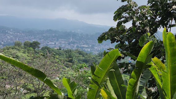 Jardín Botánico Xoxoctic